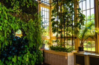 Forest In Teesdale orangery installation